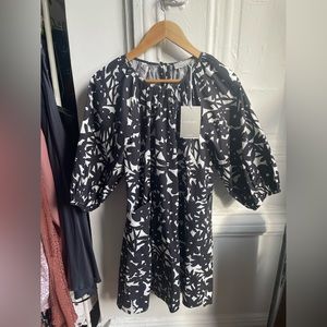 Everlane Seersucker Puff Sleeve Dress